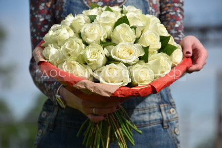 Букет белых роз "Маэстро"